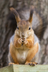 Similar image 21288247