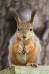 Similar image 21288249