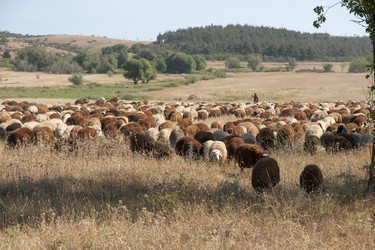 Similar image 21288250