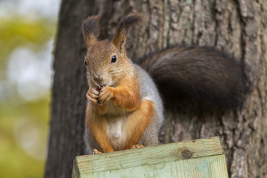 Similar image 21288251