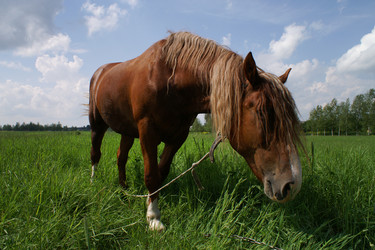 Similar image 21288254