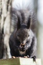 Similar image 21288255