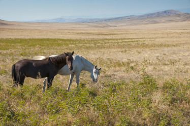 Similar image 21288256