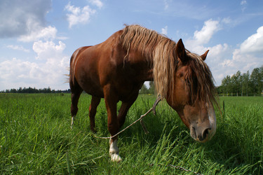 Similar image 21288257