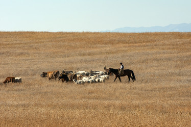 Similar image 21288259