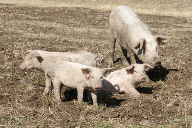 Similar image 21288261