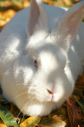 Similar image 21288265