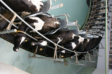 Similar image 21288268