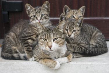 Similar image 21288269