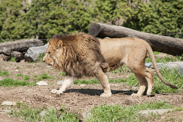 Similar image 21288271