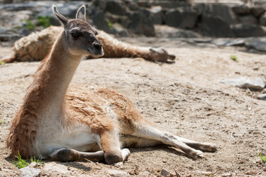 Similar image 21288272