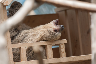 Similar image 21288274