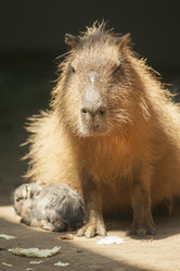 Similar image 21288275