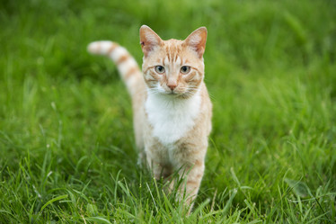 Similar image 21288277