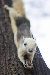 Similar image 21288279