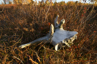 Similar image 21288280