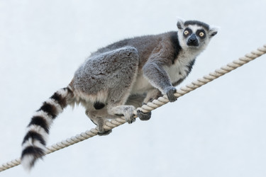 Similar image 21288281