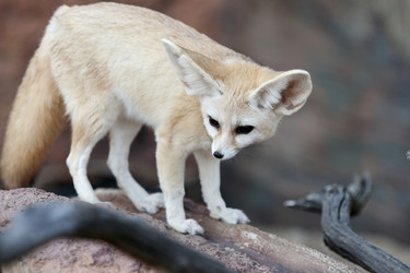 Similar image 21288282