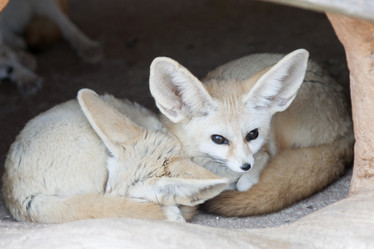 Similar image 21288283