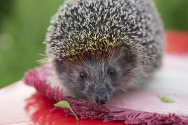 Similar image 21288284