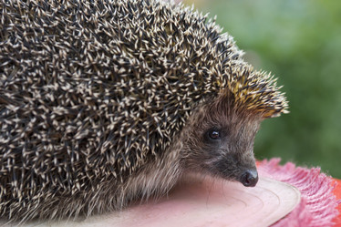 Similar image 21288286