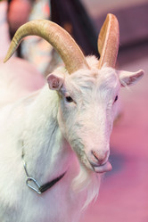 Similar image 21288287