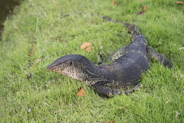 Similar image 21288291