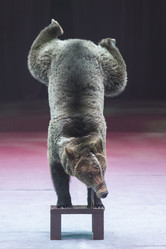 Similar image 21288293