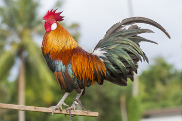 Similar image 21288295