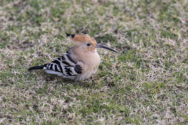 Similar image 21288296