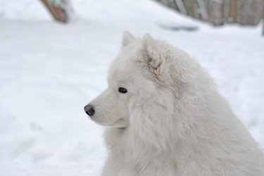 Similar image 21290446