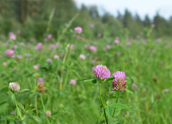 Similar image 21290447