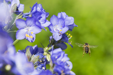 Similar image 21288297