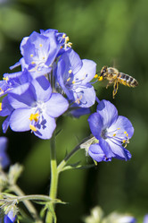 Similar image 21288302