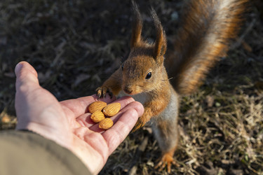 Similar image 21288303