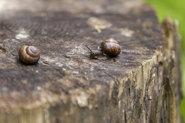 Similar image 21288304