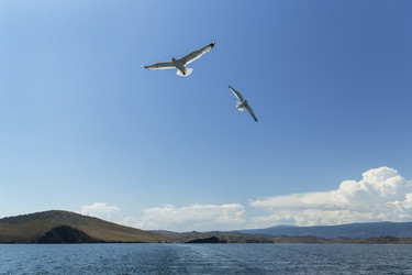 Similar image 21288306