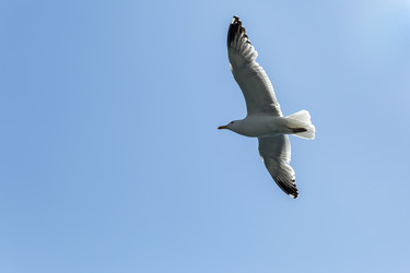 Similar image 21288308