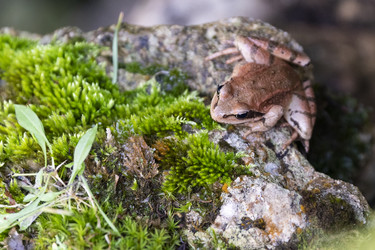 Similar image 21288309