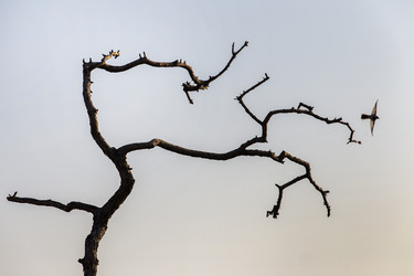 Similar image 21288420