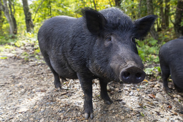 Similar image 21288421