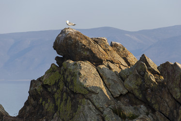 Similar image 21288422