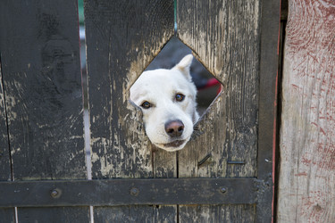 Similar image 21288426