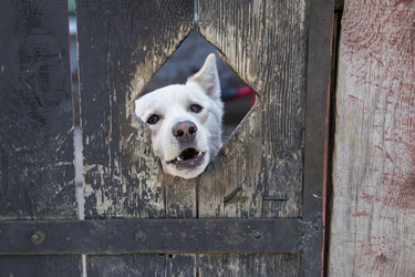 Similar image 21288428