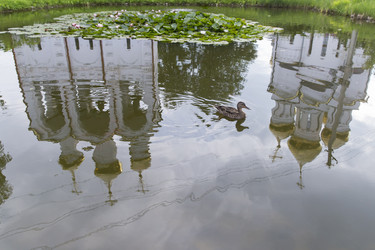 Similar image 21288432