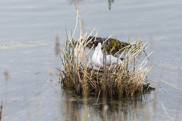 Similar image 21288433