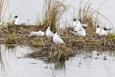 Similar image 21288435