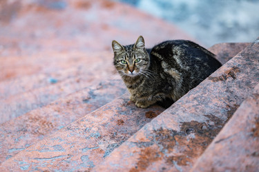 Similar image 21288436