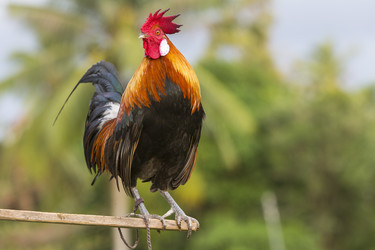 Similar image 21288438