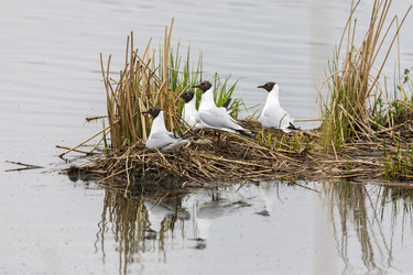 Similar image 21288439